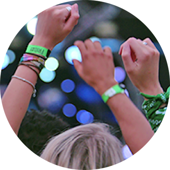 friends at a concert